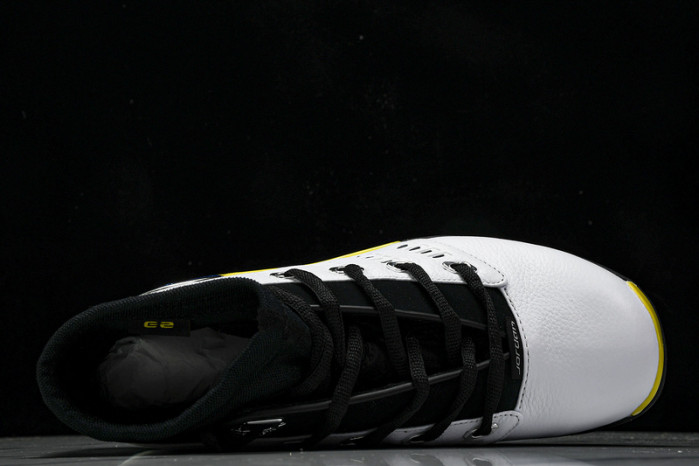 Air Jordan 17 Low “Lightning”  FJ0395-100