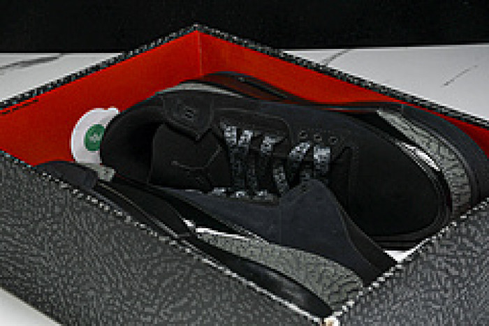 AIR JORDAN 3   CK9246-168