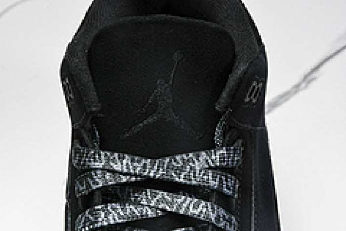 AIR JORDAN 3   CK9246-168