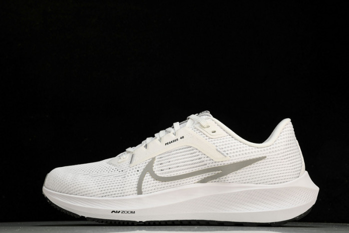 NK Air Zoom Pegasus 40  DV3853-102
