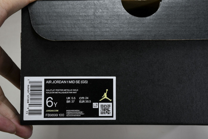 Air Jordan 1 Mid SE(GS)  FB9899-100