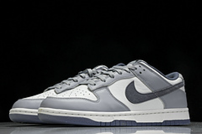Nk Dunk Low "Light Carbon"​  FJ4188-100